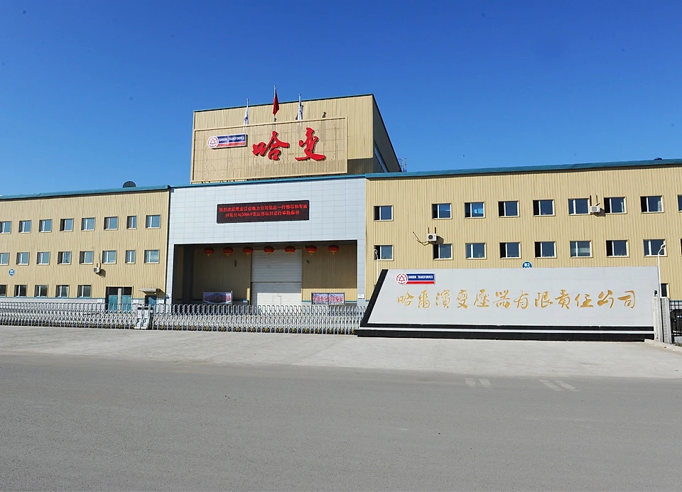 Harbin Transformer corporate culture activity